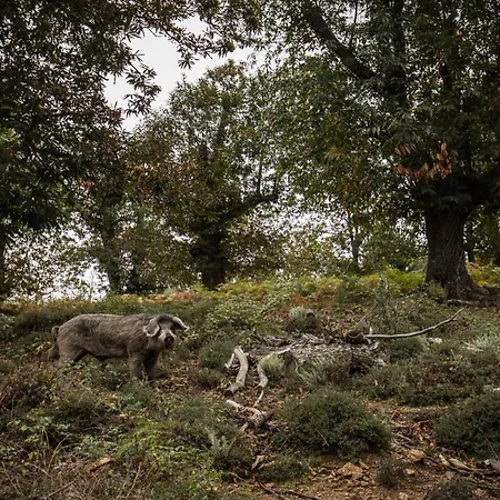 Bed & Breakfast De Charme A 3*