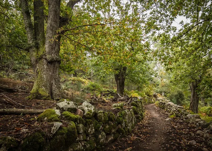 Bed & Breakfast De Charme A